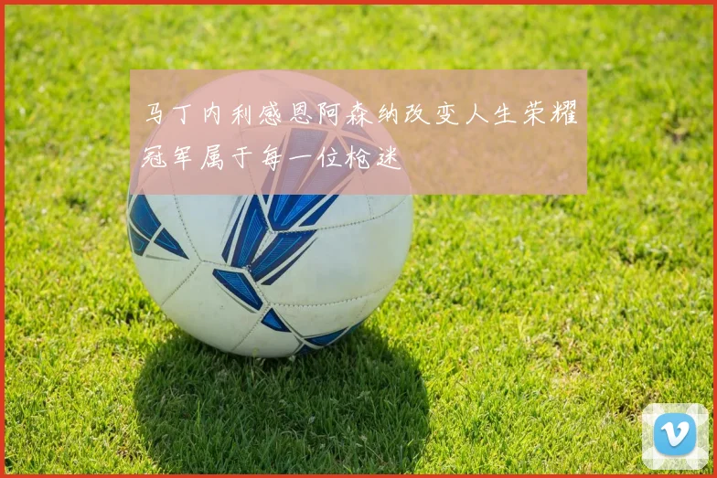 马丁内利感恩阿森纳改变人生荣耀冠军属于每一位枪迷